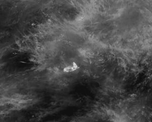 Image thermique montrant un faon détecté par drone avant la fauche agricole en Occitanie